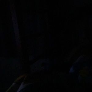 Meet your Posher, Adan